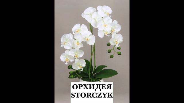 НАЗВАНИЕ ЦВЕТОВ НА ПОЛЬСКОМ | УЧИ ПОЛЬСКИЙ ЛЕГКО | UCZ SIĘ Z MARIĄ №1