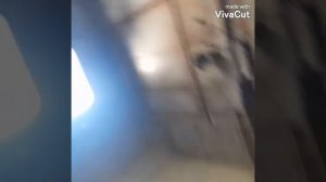 #Галёнки #Полтавка #Станциякосмическойсвязи  #большаяантэна приморский край  4.01.22г  часть 1я