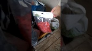 СВП. Рельефная плитка