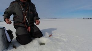 горе море последний лед 2022