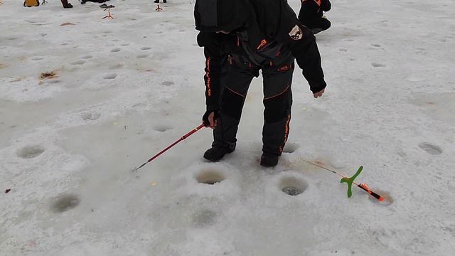 Рыбалка в Красногорске, Спортзона.Поимка и обидный сход смотреть онлайн