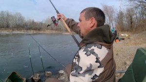 Отличный  клёв карася в октябре на реке Северский Донец.#рыбалка#карасьнафидер#фидернаярыбалка