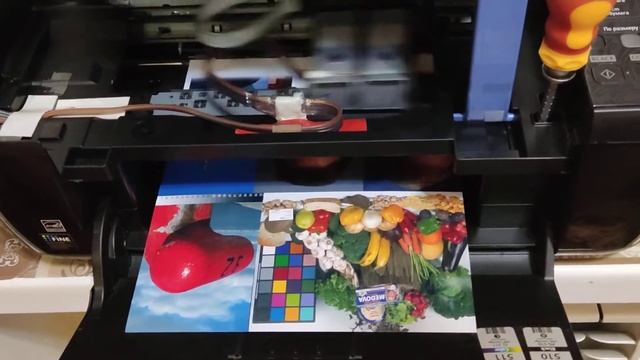 МФУ Canon Pixma MP-495 с установленной СНПЧ