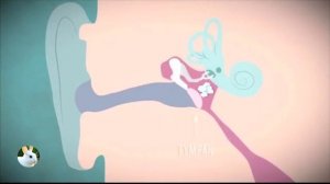 Манёвр Вальсальвы