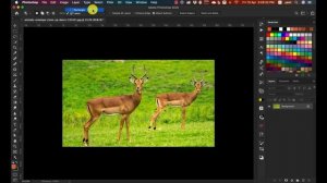 Subject and Object select tool | Adobe Photoshop