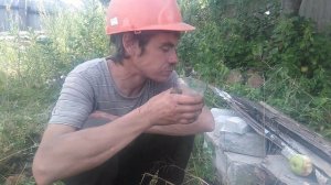 Лёха алабай самое начало)18+
