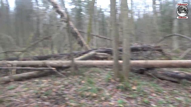 Что здесь было? Загадочные находки. Древнее поселение. смотреть онлайн