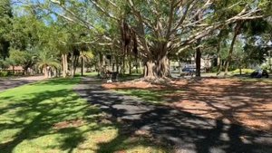 Venice florida/Венис Флорида 2023