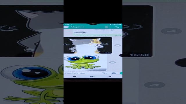 19.1. Функция Видимость медиа 1  в WhatsApp