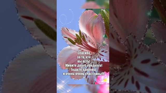 #прекрасногонастроения #музыкальнаяоткрытка #видеооткрытка #пожеланиедлядрузей
