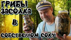 ГРИБЫ ЗАСОЛКА В СОБСТВЕННОМ СОКУ