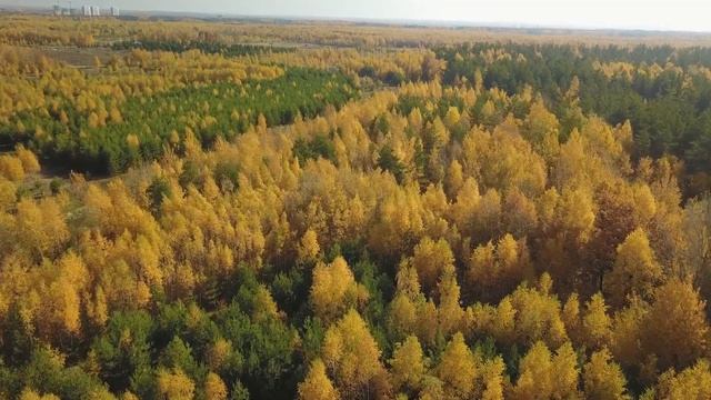 Как залить фундамент? Двухэтажный дом из кирпича