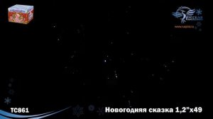 ТС861: Новогодняя  сказка