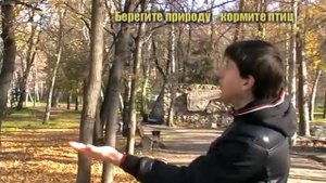 ВОЛШЕБНАЯ ОСЕНЬ  птицы синицы едят из рук / birds eat with hands exclusive