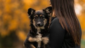 Эфир С Просьбой О Помощи и как прошли последние дни, Почему так важна СТЕРИЛИЗАЦИЯ.