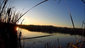 Охота на утку в Ставропольском крае 2019