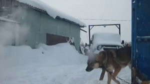 Немного про "Оку" ВАЗ-11113