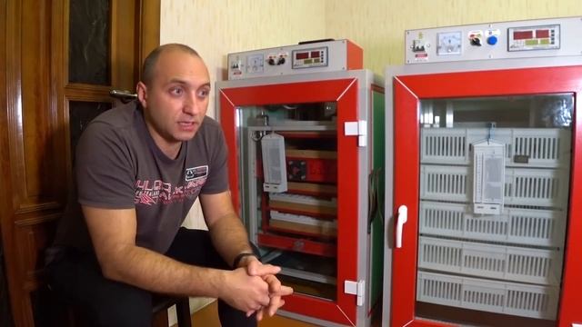 Мой выбор инкубатора MultiLife,NBF,Воронежский инкубатор.