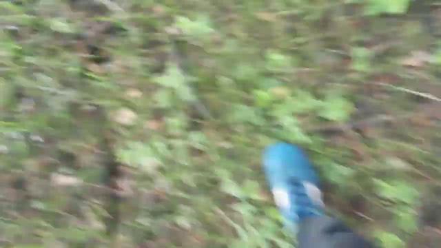 Хожу в лес за грибами! Чуть чуть о моей жизни смотреть онлайн