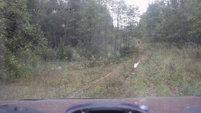 Дорога за грибами.... смотреть онлайн