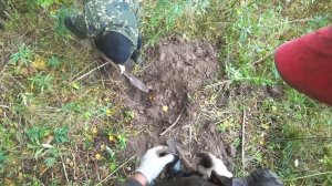 Металлокоп ОСЕНЬ 2023! Металлокоп на сгоревшом хуторе