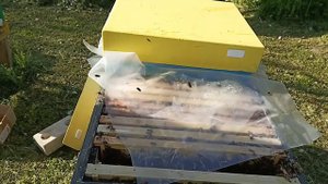 Усиливаем Отводки пчёл ! Уходим от роения ! Уменьшаем роевые настроения пчёл !