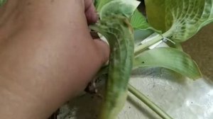 Распаковка посылки с хостами. Новинки.