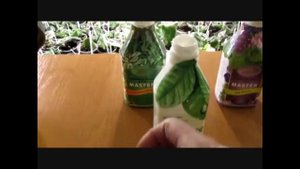 КАК КОРМИТЬ И ПОИТЬ ФИАЛКУ. ПРАВИЛЬНО . БЕЗ ОШИБОК