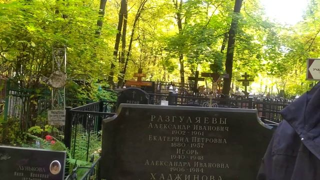 Брат Сергея Александровича Есенина . Александр Разгуляев.