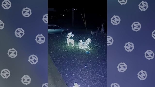 50 Невероятных Моментов, Снятых на Камеры Наблюдения смотреть онлайн