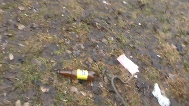 Перекоп Ярославль Живописные места