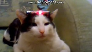 415 база ответь мемный  мем  оригенал в описание