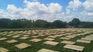 Полив улитки на открытом участке Tavlit Серия 920