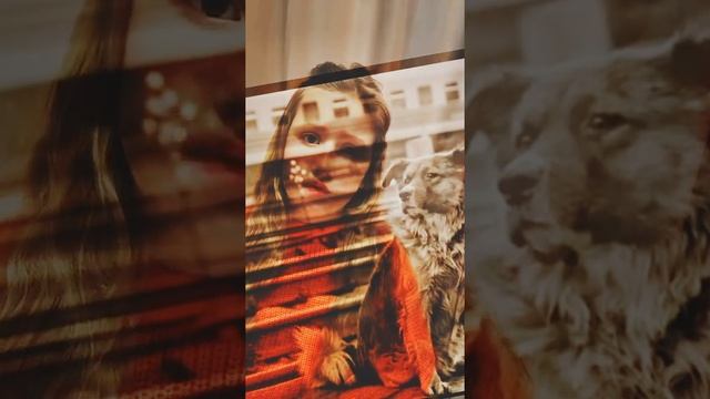 «Рыжая дворняга» Э.Асадов смотреть онлайн