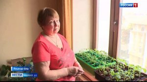 Жители Марий Эл готовятся к майским праздникам