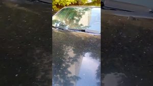 V8 Запуск холодного двигателя