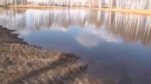 Пруд Южный. Посёлок Потеряевка. 2017