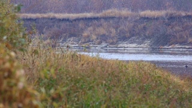 Устье реки Воронеж