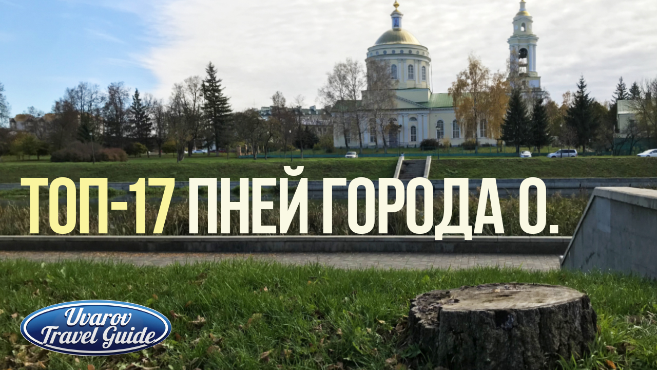 Топ-17 пней города О.