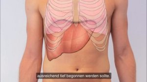 Германия Пальпация живота