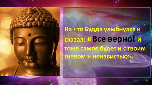Гнев история от Будды смотреть онлайн
