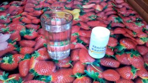 Как быстро вылечить стоматит во рту