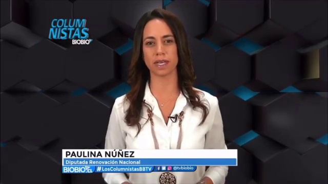 Que es el "Grupo de puebla" y por qué no se debe permitir su realización en Chile смотреть онлайн