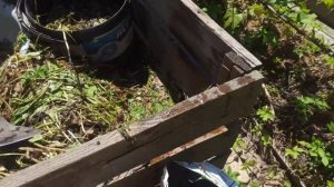 переработка сорняков в удобрение за одну неделю