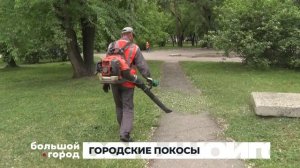 ГОРОДСКИЕ ПОКОСЫ. Большой город 07/06/23
