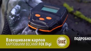 Взвешиваем карпов КАРПОВЫМИ ВЕСАМИ FOX Digi ПОДРОБНО.mp4