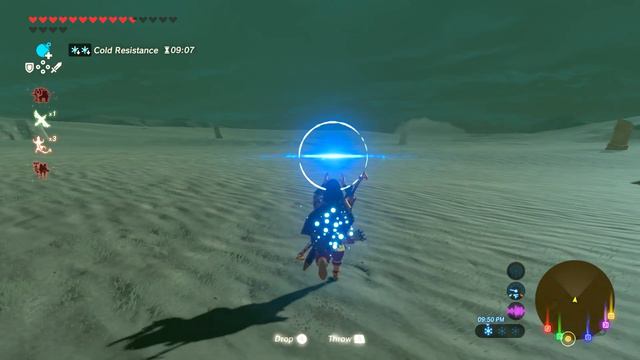 Legend Of Zelda Breath of the Wild - DLC Champions Ballad Part 5 Molduking Sand Brute! (Season Pass смотреть онлайн