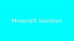 Top 5 Skeleton