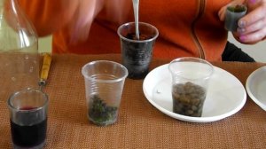 Как спасти маленькую детку фиалки