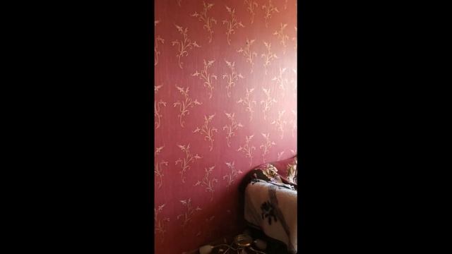 Дешёвая квартира с ремонтом в Сочи. ЖК Серебряный бор. смотреть онлайн